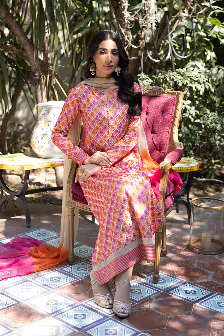 Succulent Appearance With A Two- Toned Design Spanning - Blossom