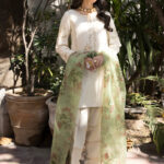 Paired Gracefully With a Raw Silk Shalwar - Swan