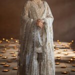 Adorned With Lavish Embroidery - Mastani