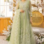 Luxurious Organza Pistachio Suit - Ayla