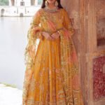 Luxury Chiffon & Net Mustard Suit - Pukhraj