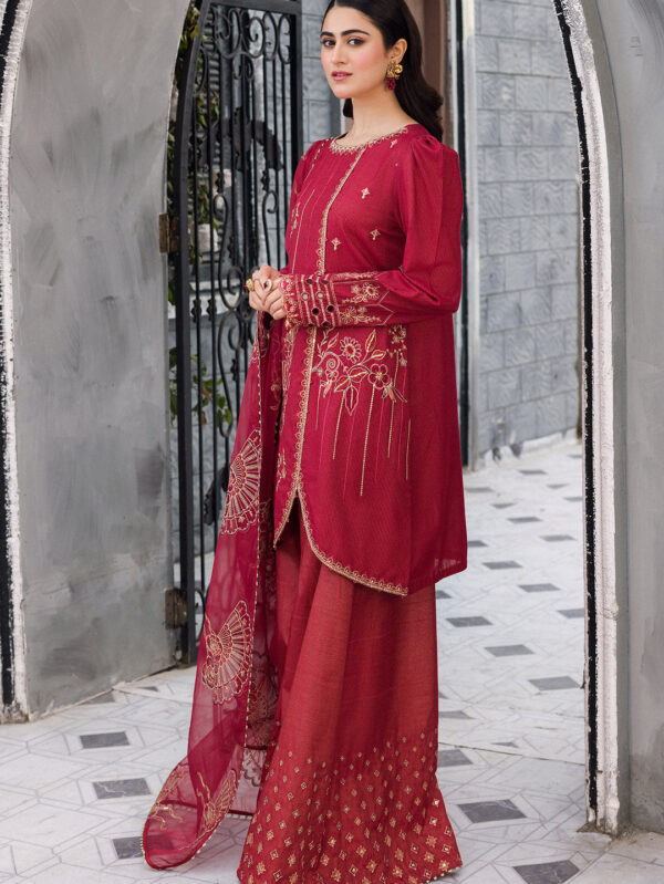 Luxury Cotton Organza Red Suit - Garja