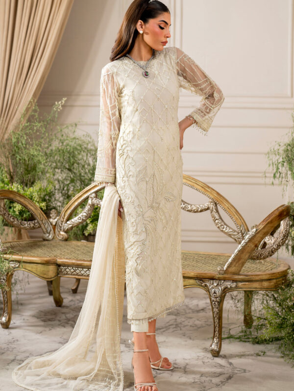 Luxury Net Off White Suit - Reverie