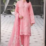Luxury Organza Pink Suit - Raskh