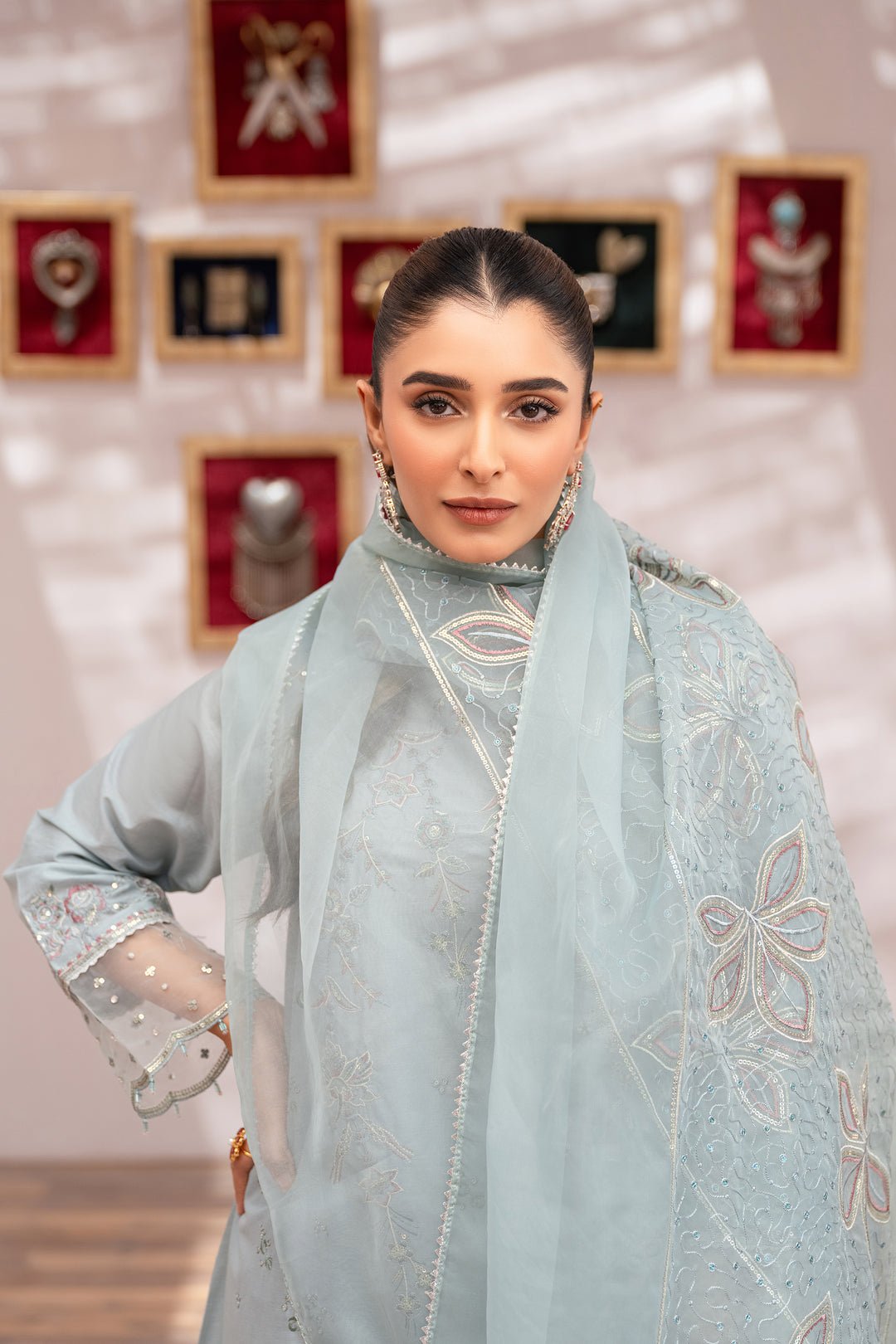 Luxury Organza Powder Blue Suit - Deedar