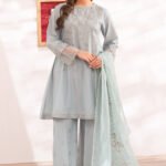 Luxury Organza Powder Blue Suit - Deedar