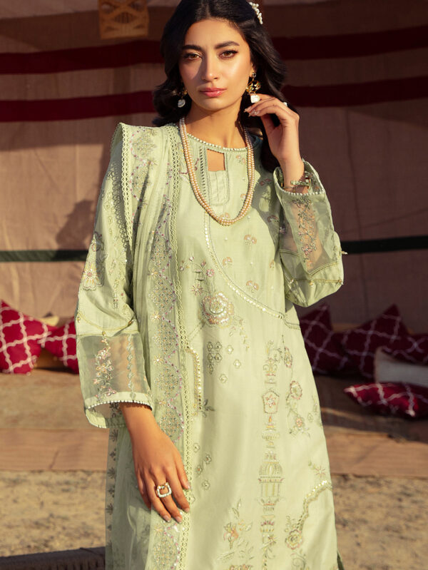 Luxury Organza Pistachio Suit - Azia