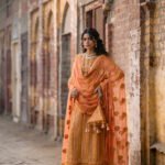 Luxurious Crinkle Chiffon Dupatta - Shamma