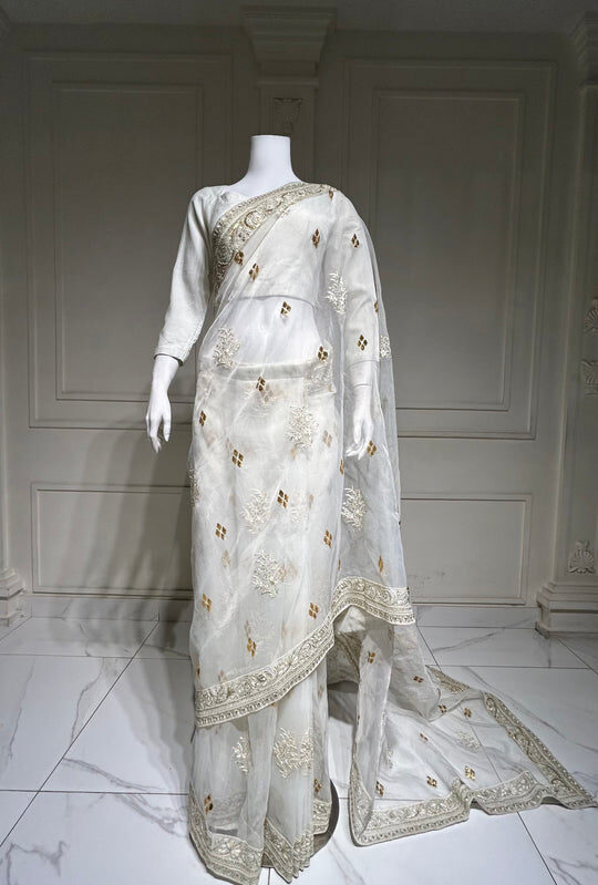 Rich Organza Saree - Full Moon