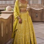 Lehenga - Lime