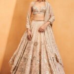 Zardozi Lehenga - Gold