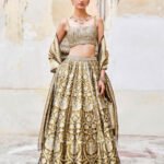 Lehenga Set - Olive