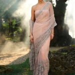 Embroidered Saree - Blush