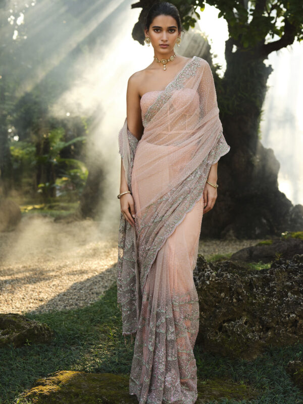 Embroidered Saree - Blush