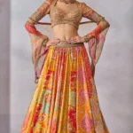 Blouse Lehenga