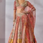 Blouse Lehenga