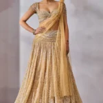 Drape Lehenga