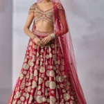 Blouse Lehenga