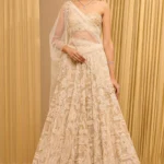 Paisley Lehenga