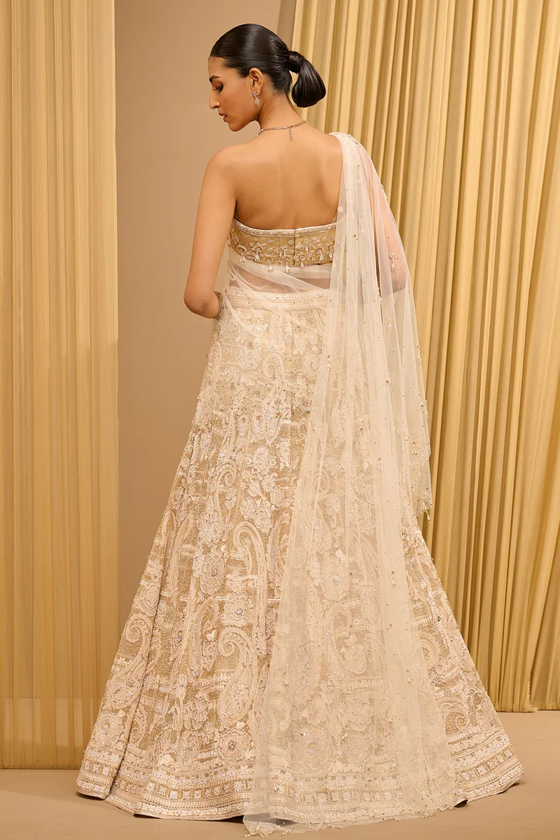 Lace Embroidered Lehenga - Image 3