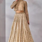 Top Lehenga