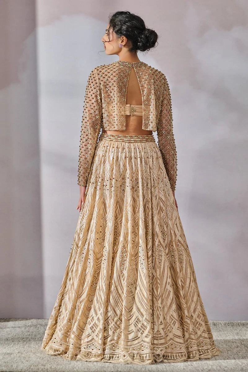 Elegant Bustier Top Lehenga - Image 2