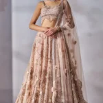 Blouse, Dupatta, Lehenga