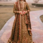 Lehenga Choli with an Organza Dupatta