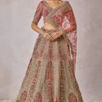 Blouse Lehenga