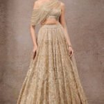 Embroidered Lehenga