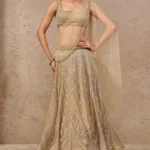 Studded Lehenga