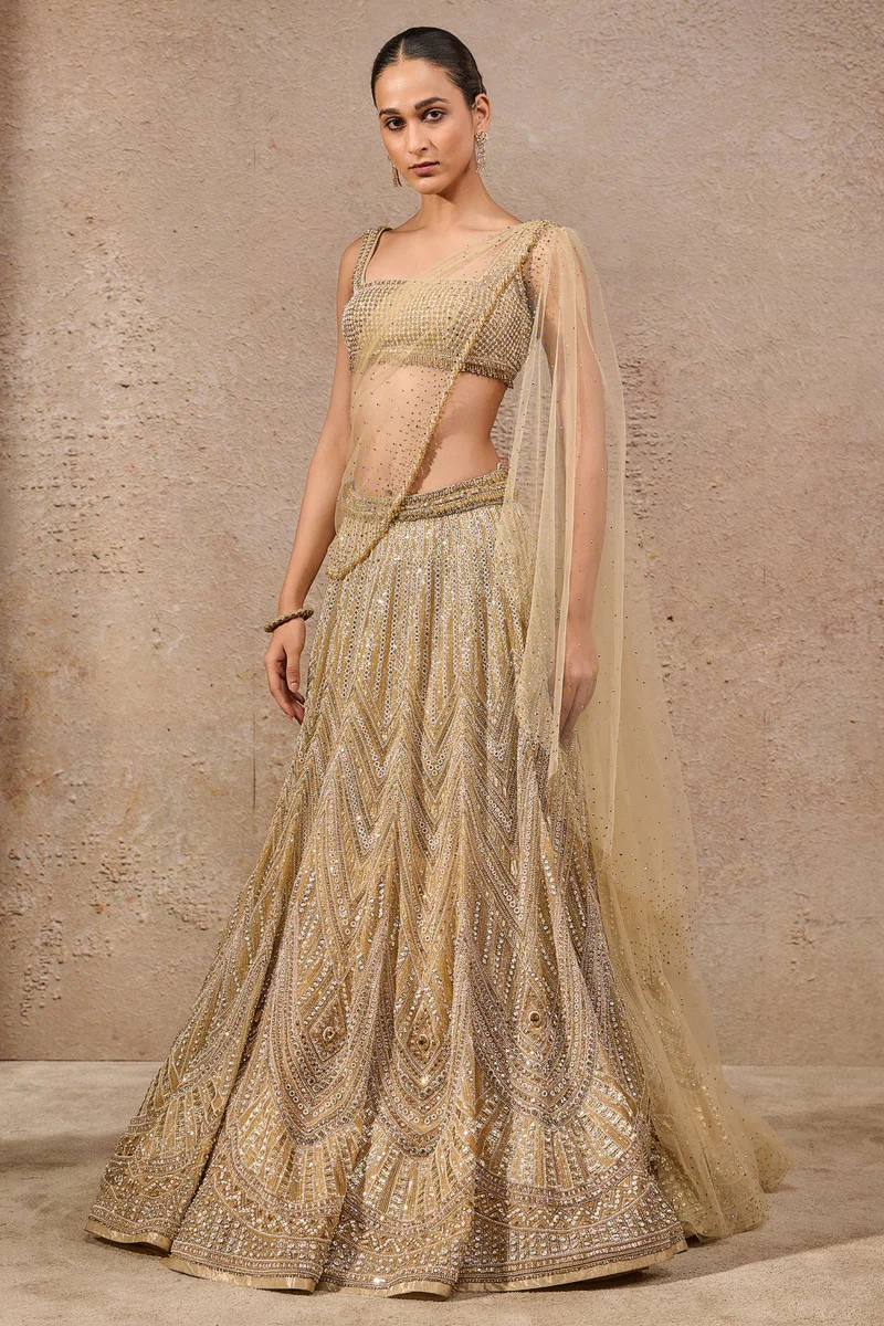 Stone & Sequin Lehenga - Image 4
