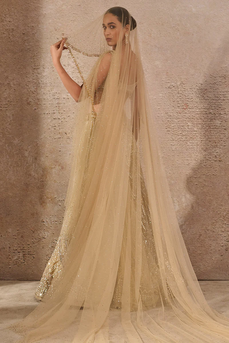 Stone & Sequin Lehenga - Image 2