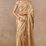 Tissue Saree