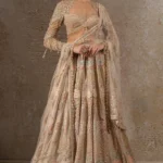 Lehenga Set with Drape