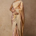 Embellished Saree