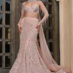 Fishtail Lehenga
