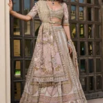 Embroidered Lehenga