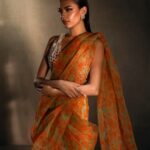 organza saree