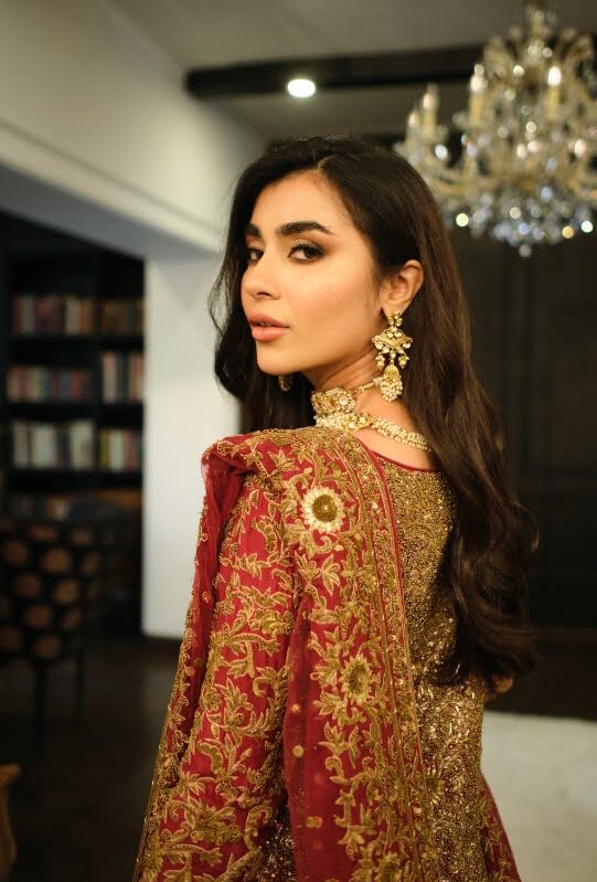 Mahpara - Handcrafted Gown