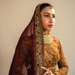 Organza Lehenga Choli
