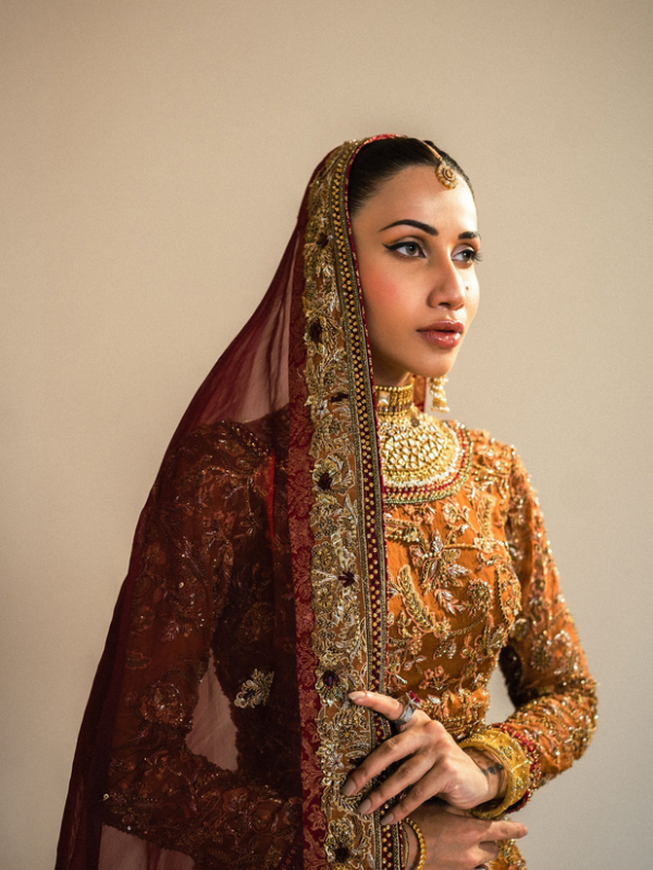 Organza Lehenga Choli